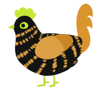 A black and orange chicken with a bar pattern