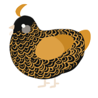 A black and orange chicken with a double-lace pattern