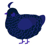 A tumblr and navy chicken with a lace pattern