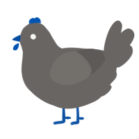 Slate, a grey chicken