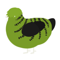 A chartreuse and sable chicken with a half-bar pattern