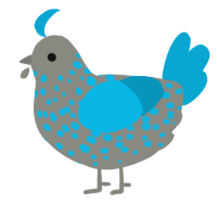 A ash and cerulean chicken with a speckle pattern