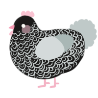 A sable and silver chicken with a double-lace pattern