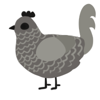 A grey and ash chicken with a lace pattern