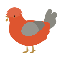 Traffic Cone, a vermilion and ash chicken