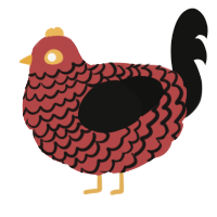 A red and black chicken with a lace pattern