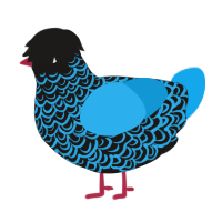 A sable and sky chicken with a double-lace pattern