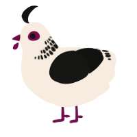 A cream and black chicken with a neck-band pattern
