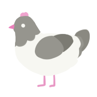 Pidgeon, a white and ash chicken with a head pattern