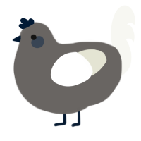 project, a grey and white chicken
