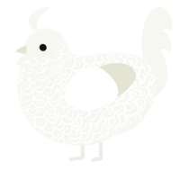 A white chicken with a double-lace pattern