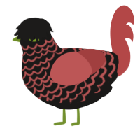 Cordial Cherry, a sable and red chicken with a lace pattern