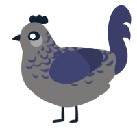 VIV Rusty, a grey and navy chicken with a half-lace pattern