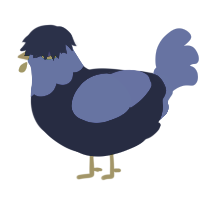 A tumblr and ultramarine chicken with a head pattern