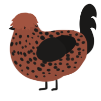 pinto bean, a russet and sable chicken with a speckle pattern