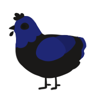 A sable and navy chicken with a head pattern