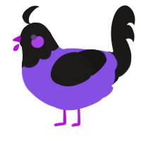 A blurple and sable chicken with a head pattern