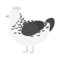 A white and maroon chicken with a half-lace pattern