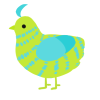 A lime and aqua chicken with a bar pattern