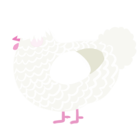 A white chicken with a lace pattern