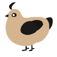 A beige and sable chicken