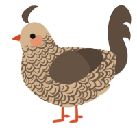 A beige and bark chicken with a double-lace pattern