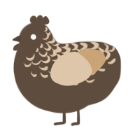 Toffee Brownie, a bark and beige chicken with a half-lace pattern
