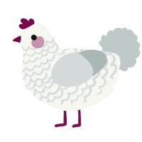 Marshmallow, a white and silver chicken with a lace pattern