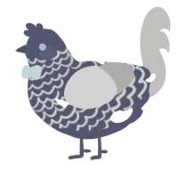 A navy and ash chicken with a lace pattern
