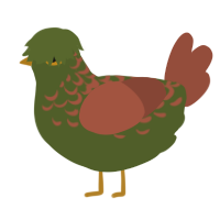 A olive and russet chicken with a half-lace pattern