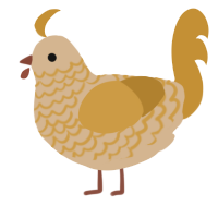 Brown Sugar, a beige and gold chicken with a lace pattern
