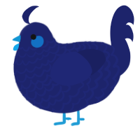 A navy chicken with a lace pattern