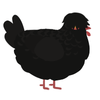 Champion, a black and sable chicken with a half-lace pattern