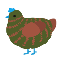 oh, a olive and russet chicken with a bar pattern