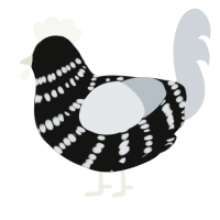 (unnamed), a black and mist chicken with a bar pattern