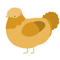 Mushy, a honey and ochre chicken with a head pattern