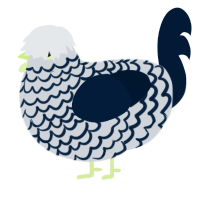 Lined Paper, a mist and tumblr chicken with a lace pattern