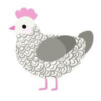 Ash, a white and ash chicken with a double-lace pattern
