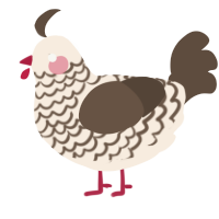 Barron, a cream and bark chicken with a lace pattern