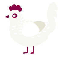 Kenni the Chicken, a white chicken with a half-lace pattern