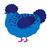 Berry, a sapphire and navy chicken with a half-lace pattern
