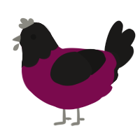 A wine and sable chicken with a head pattern