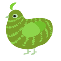 soursop, a chartreuse and grass chicken with a bar pattern