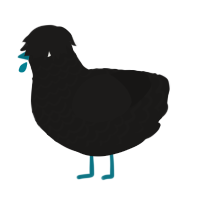 pierce the veil, a sable chicken with a lace pattern