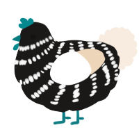 A sable and cream chicken with a bar pattern