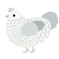 (unnamed), a white and silver chicken with a lace pattern