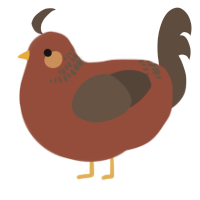 A russet and bark chicken with a neck-band pattern