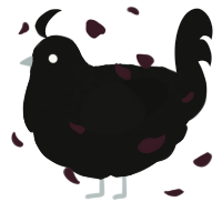 Solar, a black chicken with a half-lace pattern
