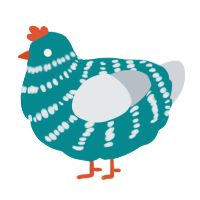Banana, a teal and mist chicken with a bar pattern
