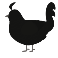 (unnamed), a black chicken with a lace pattern